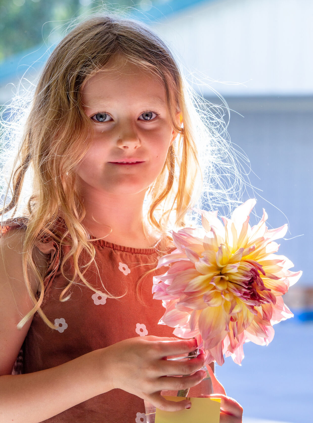 POIL_5096795162_FavoriteFlower.jpg